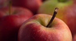 pony_zabudowy izotermy chłodnie (3).jpg